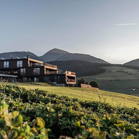 Aparthotel Panorama Living Dolomites 马兰扎 外观 照片