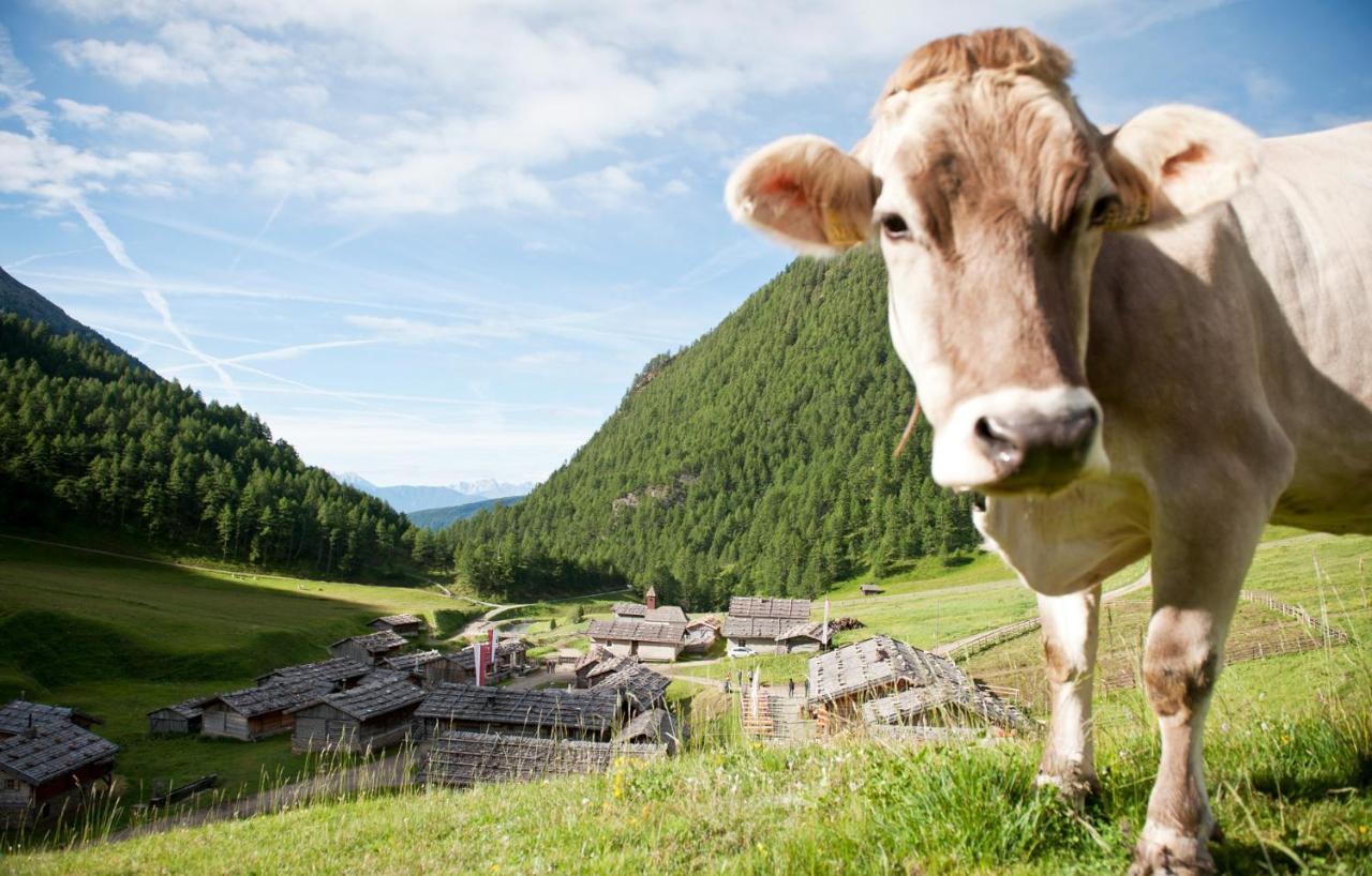 Aparthotel Panorama Living Dolomites 马兰扎 外观 照片